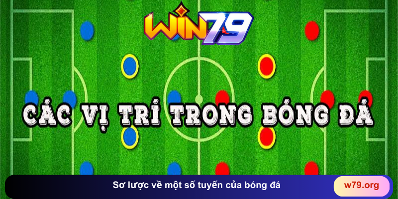 Các vị trí trong bóng đá đầy đủ và chi tiết nhất
