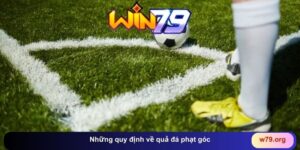THỂ THAO - win79 | Thiên Đường Game Bài Đổi Thưởng