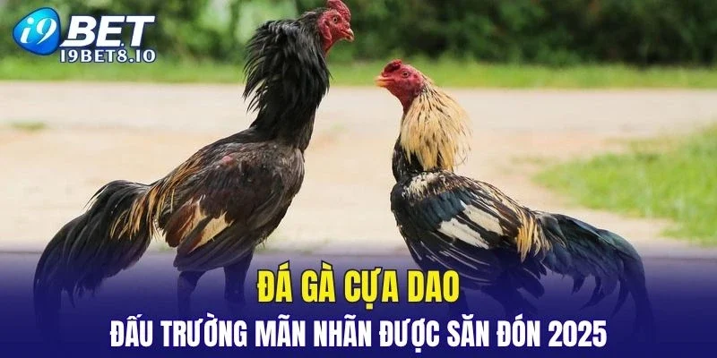 I9BET erica - Trang Chủ I9BET COM Chính Thức 2026 KM 99K