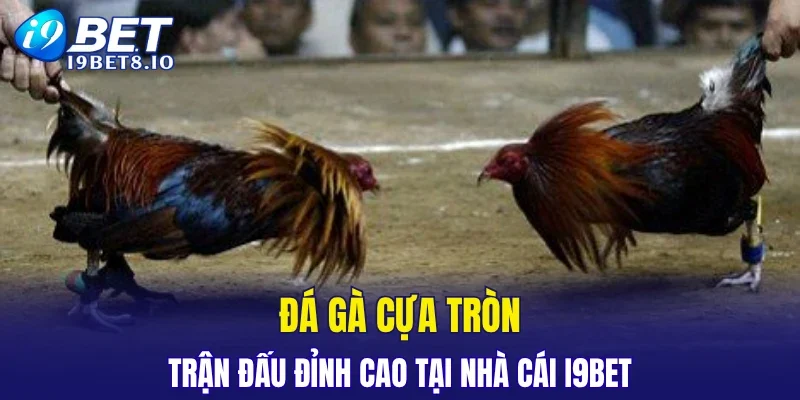 I9BET erica - Trang Chủ I9BET COM Chính Thức 2026 KM 99K