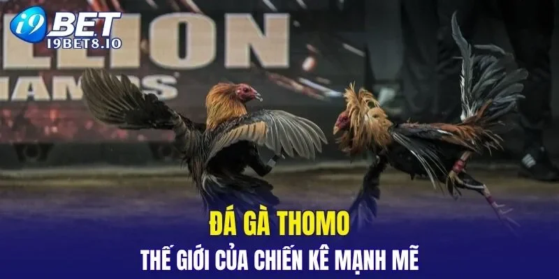 I9BET erica - Trang Chủ I9BET COM Chính Thức 2026 KM 99K