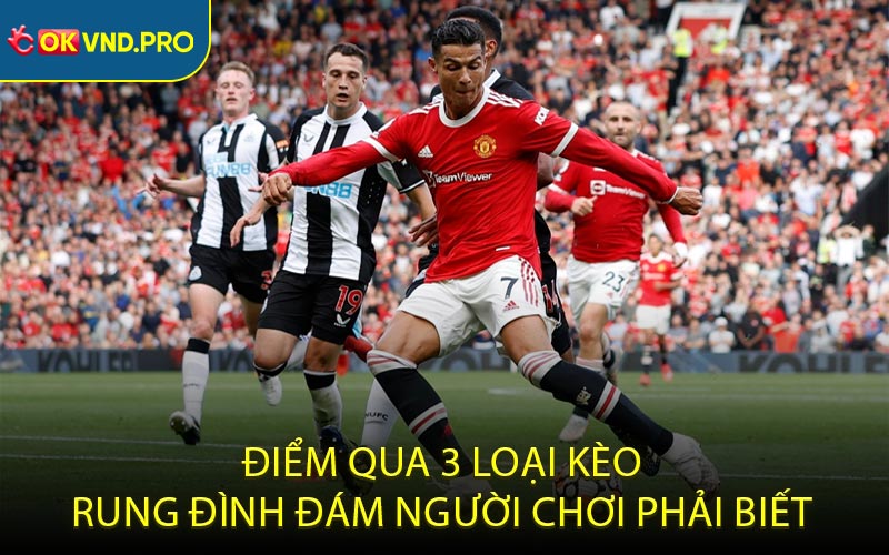 Kèo Rung - Hướng Dẫn Người Chơi Đặt Kèo Chính Xác Nhất