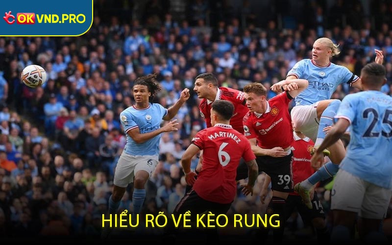 Kèo Rung - Hướng Dẫn Người Chơi Đặt Kèo Chính Xác Nhất