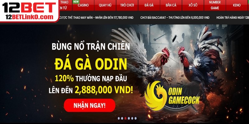 Đại Lý 12BET - Cơ Hội Kinh Doanh Hấp Dẫn Cho Mọi Người