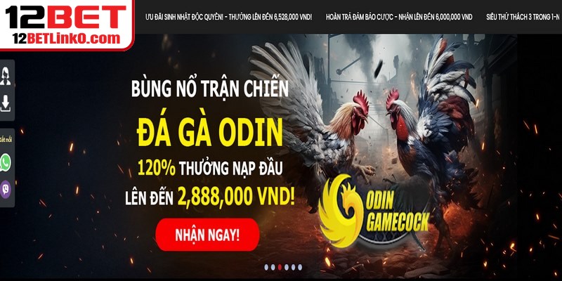 12BET Có Lừa Đảo Không - Giải Đáp Tin Đồn Thất Thiệt