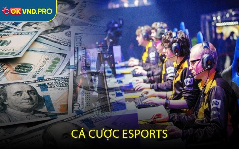 Cá cược eSports: 5 Giải Đấu Đỉnh Cao Đáng Cược Nhất 2026