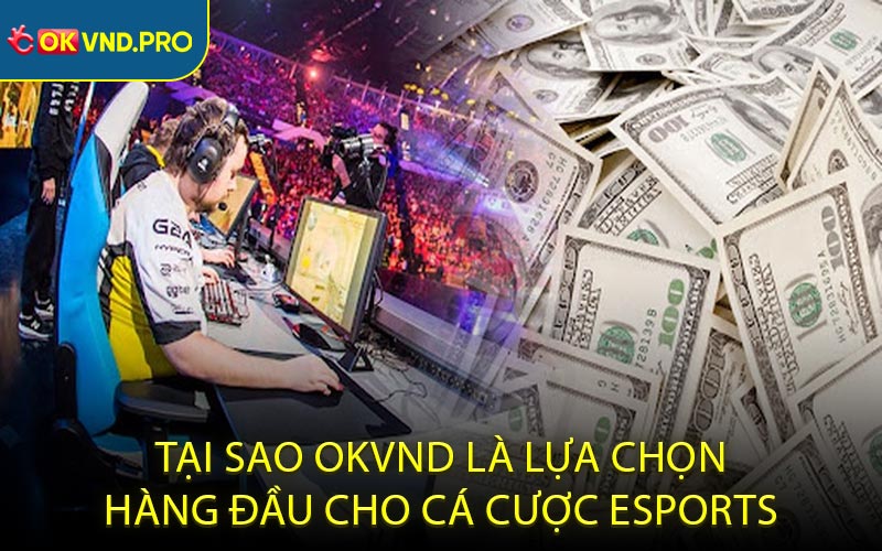 Cá cược eSports: 5 Giải Đấu Đỉnh Cao Đáng Cược Nhất 2026