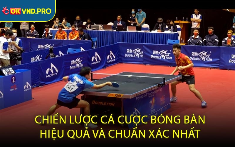 Cá Cược Bóng Bàn - Cơ Hội Kiếm Lời Dễ Dàng Nhất Hiện Nay