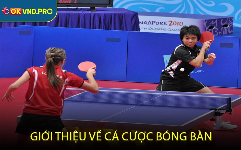 Cá Cược Bóng Bàn - Cơ Hội Kiếm Lời Dễ Dàng Nhất Hiện Nay