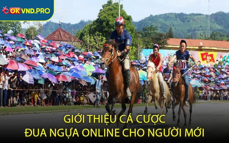 Đua Ngựa Online - Trải Nghiệm Cá Cược Hấp Dẫn Và Kịch Tính